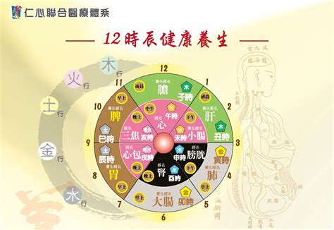 中醫時辰表|中醫養生經典：圖文詳解十二經絡運行時間、屬性、注。